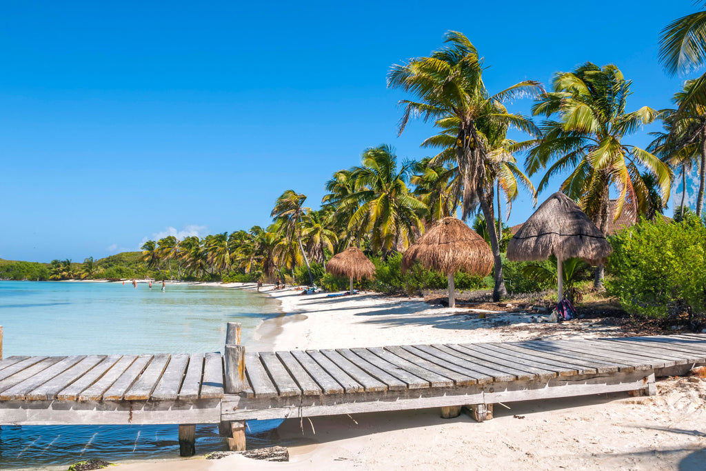 Tour Isla Contoy e Isla Mujeres