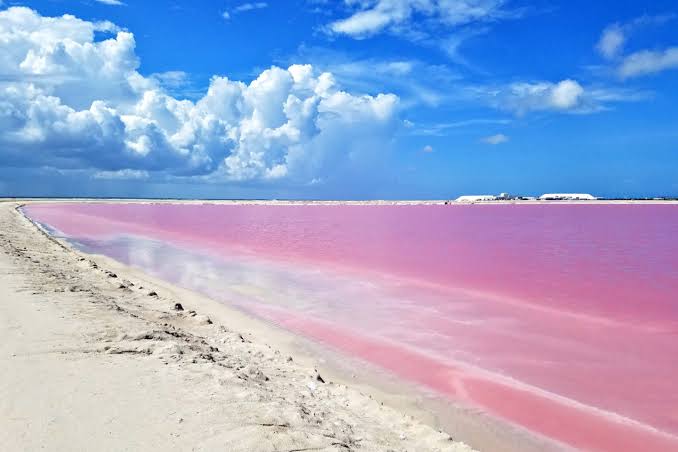 Tour Río Lagartos y Las Coloradas con Baño Maya y Manglares