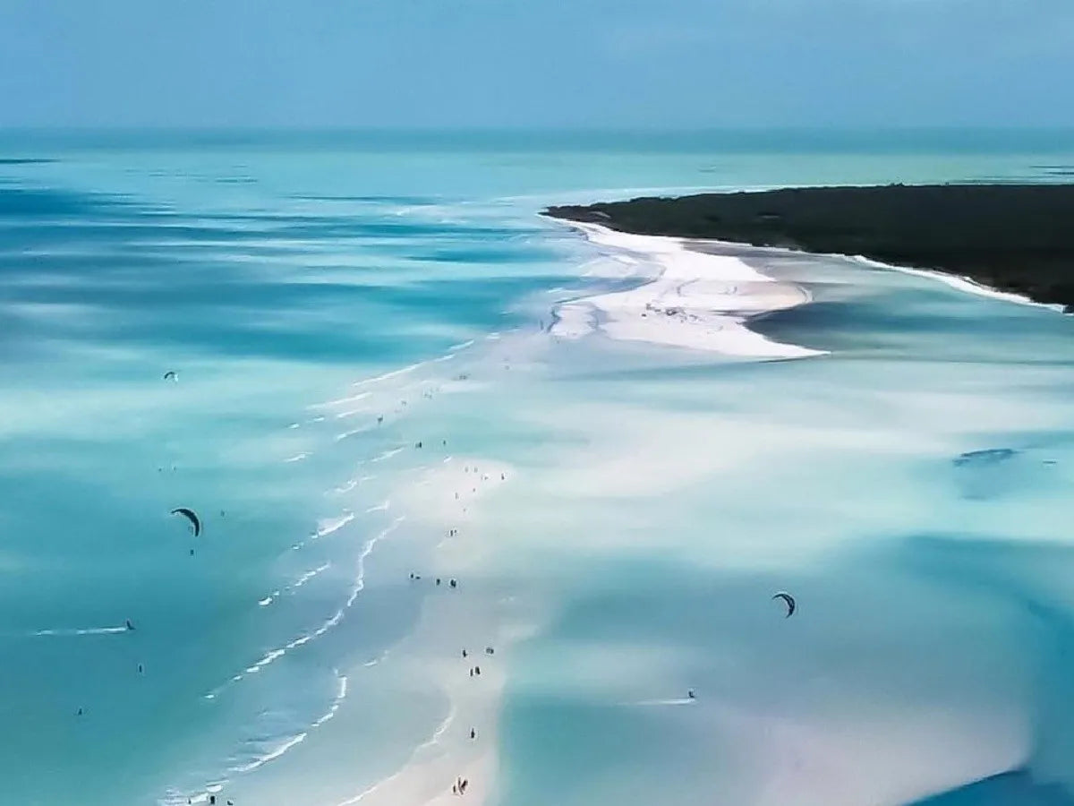 Tour a Holbox con Isla Pasión, Punta Mosquito y Laguna Yalahau
