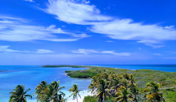 Tour Isla Contoy e Isla Mujeres