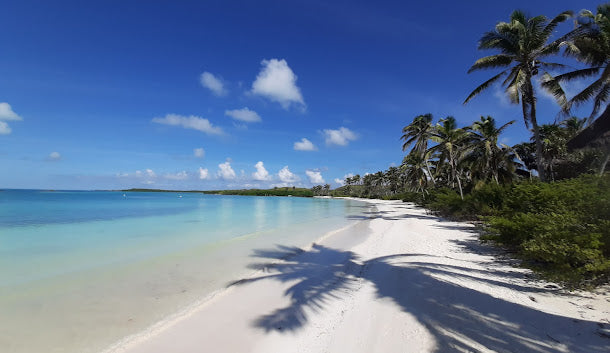 Tour Isla Contoy e Isla Mujeres
